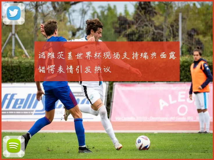 诺维茨基世界杯现场支持瑞典面露错愕表情引发热议
