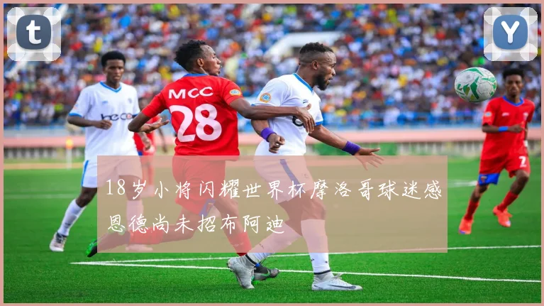 18岁小将闪耀世界杯摩洛哥球迷感恩德尚未招布阿迪