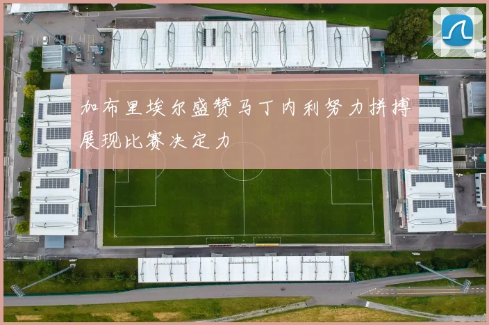 加布里埃尔盛赞马丁内利努力拼搏展现比赛决定力