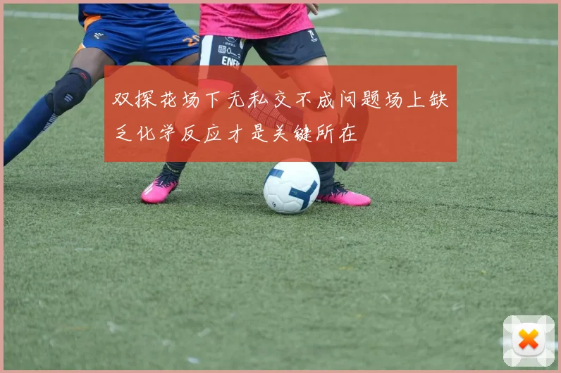 双探花场下无私交不成问题场上缺乏化学反应才是关键所在